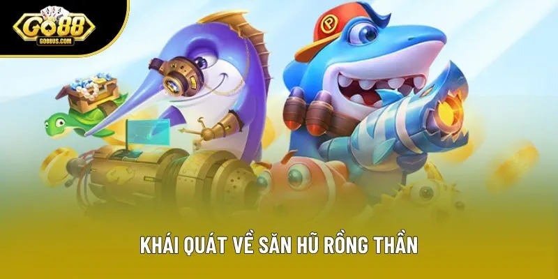 Khái quát về săn hũ rồng thần
